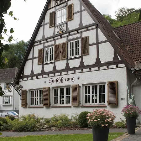 Hirschsprung Detmold