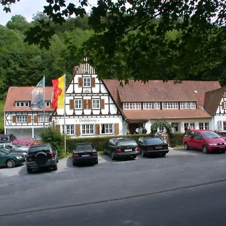 Hirschsprung 3* Detmold