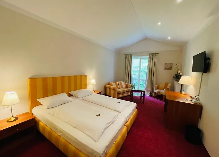 Hirschsprung فندق 3*