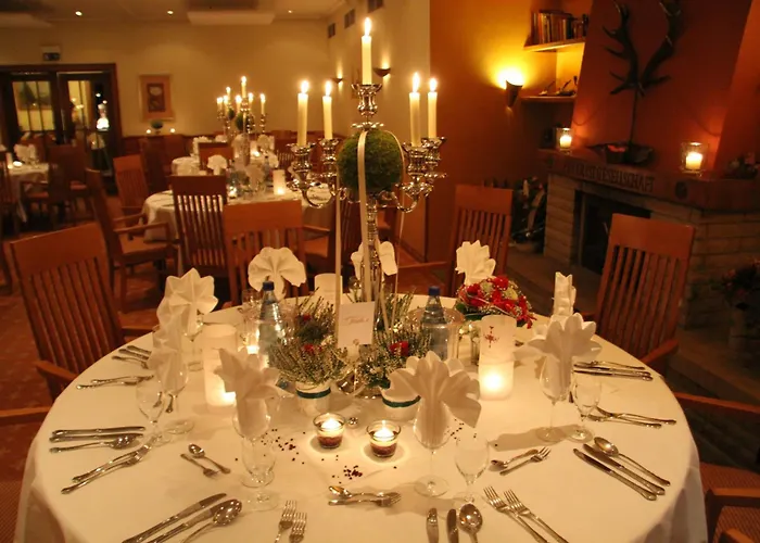 فندق Hirschsprung 3*