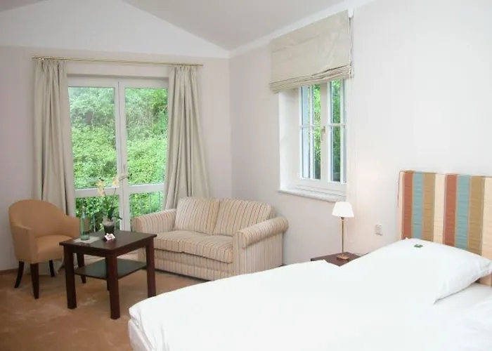 Hirschsprung ديتمولد