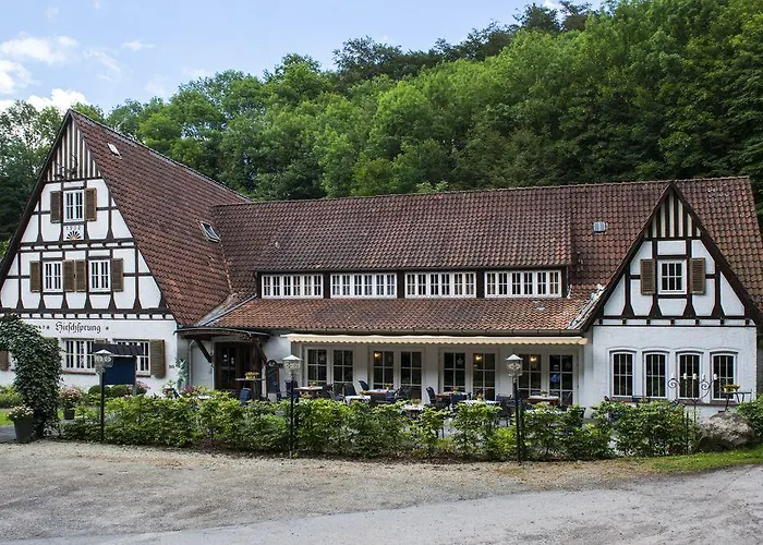 فندق Hirschsprung ديتمولد